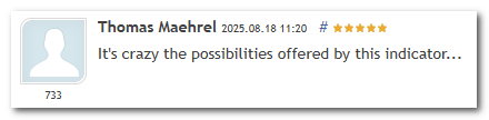 Customer review from trader Thomas